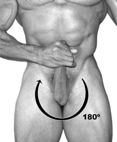 Penis rotation to enlarge it